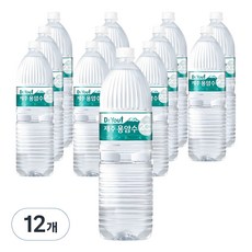 오리온제주용암수, 2L, 12개