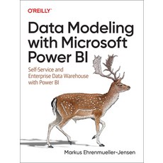 (英文圖書) Data Modeling with Microsoft Power Bi: Self-Service and Enterprise Dwh with Power Bi 平裝版, O'Reilly Media, 英文