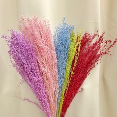 【W&T花藝資材】台灣現貨-永生迷你豆 乾燥花 迷你豆 永生花材 花束材料 DIY花藝, 紫色