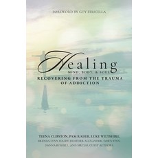 (英文圖書) Healing Mind Body & Soul: Recovering from the Trauma of Addiction 平裝版, Clipston Publishing, 英文