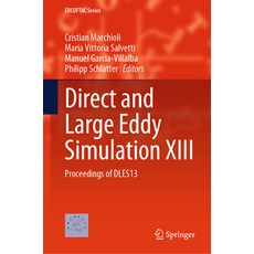 (英文圖書) Direct and Large Eddy Simulation XIII: Proceedings of Dles13 精裝版, Springer, 英文
