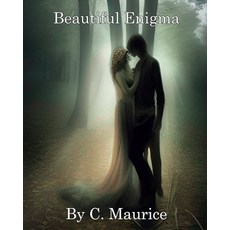 (英文圖書) Beautiful Enigma 平裝版, Blurb, 英文