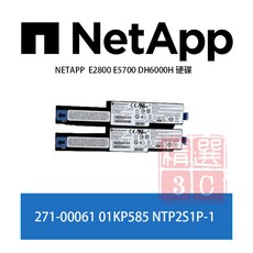 NETAPP 271-00061 01KP585 NTP2S1P-1 E2800 E5700 DH6000H 儲存系統電池