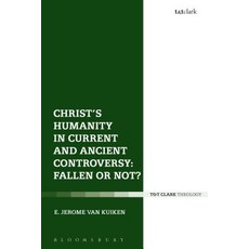 Christ's Humanity in Current and Ancient Controversy: Fallen or Not? 平裝版, T&T Clark, 英文