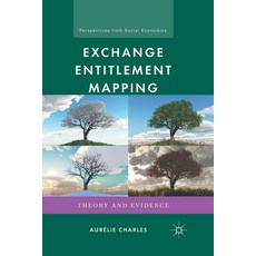 Exchange Entitlement Mapping: Theory and Evidence 平裝版, Palgrave MacMillan, 英文