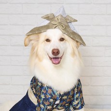 Onekosama 大型犬用日本頭盔帽, 1個, 灰色