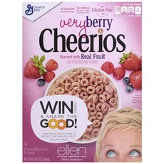 GENERAL MILLS 全麥燕麥圈 水果風味, 1盒, 314g