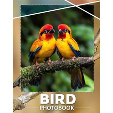 (英文圖書) Bird Photo Book: Inspirational Collection Featuring Stunning Bird Images From V... 平裝版, Independently Published, 英文