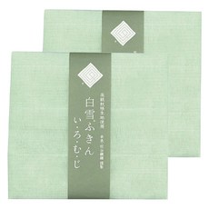Shirayuki 垣谷纖維 人造絲抹布 素面綠色, 2個
