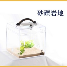 捕蟻人 螞蟻餵食區活動場 各式尺寸 純手工製作 超高CP值 養螞蟻, 中餵食區 沙礫岩地