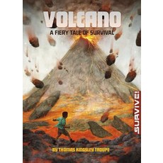 Volcano: A Fiery Tale of Survival 平裝版, Stone Arch Books, 英文