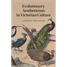 (英文圖書) Evolutionary Aestheticism in Victorian Culture 精裝版, Cambridge University Press, 英文