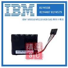 IBM M5016 M5110 6GB SAS 陣列卡電池 81Y4508 81Y4487 81Y4579