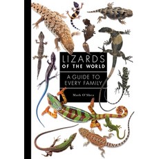 Lizards of the World: A Natural History 精裝版, Princeton University Press, 英文