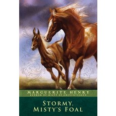 (英文圖書)Stormy Misty's Foal 平裝版, Aladdin Paperbacks, 英文