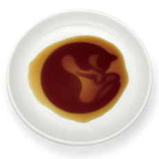 ARTHA 貓咪造型凹凸醬油碟, 1個, 變圓的貓