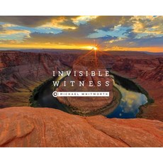 Invisible Witness 精裝版, Start2finish Books, 英文