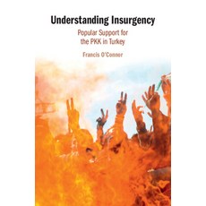 (英文圖書) Understanding Insurgency 平裝版, Cambridge University Press, 英文