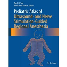 Pediatric Atlas of Ultrasound- And Nerve Stimulation-Guided Regional Anesthesia 平裝版, Springer, 英文