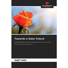 (英文圖書) Towards a Solar Future 平裝版, Our Knowledge Publishing, 英文