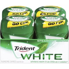 Trident 無糖薄荷口香糖, 240入, 1.5g