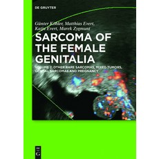 Other Rare Sarcomas Mixed Tumors Genital Sarcomas and Pregnancy 精裝版, de Gruyter, 英文