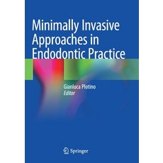 (英文圖書) Minimally Invasive Approaches in Endodontic Practice 平裝版, Springer, 英文