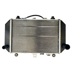 少年家 SYM三陽 原廠 TL1 Maxsym TL 508 水箱 冷卻引擎