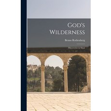 (英文圖書) God's Wilderness: Discoveries in Sinai 精裝版, Hassell Street Press, 英文