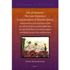(英文圖書) Site of Amnesia: The Lost Historical Consciousness of Mizrahi Jewry: Representation of the Ex... 精裝版, Brill, 英文