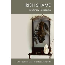 (英文圖書) Irish Shame: A Literary Reckoning 精裝版, Edinburgh University Press, 英文