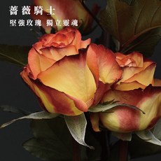 atmosphere 迷你香氛蠟燭 薔薇騎士