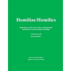 講道集/Homilies 主日讀經省思 Reflections on the Sunday Readings： 週期... 平裝版, Enderle Publishing, 英文