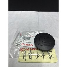 KYMCO 光陽 機車後叉小護蓋 排骨蓋 避震器護蓋 G5 G6 VJR MANY 雷霆王適用
