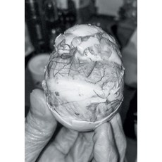 Chrysalis 平裝版, Hamburger Eyes, 英文