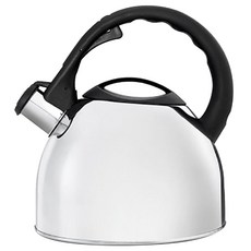 Bredemeijer 拋光茶壺 茶壺, 不銹鋼