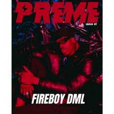 (英文圖書) Fireboy DML 平裝版, Blurb, 英文