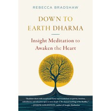 (英文圖書) Down to Earth Dharma: Insight Meditation to Awaken the Heart 平裝版, Shambhala, 英文