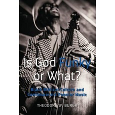 Is God Funky or What?; Black Biblical Culture and Contemporary Popular Music 精裝版, Peter Lang Inc., Internatio..., 英文
