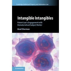 (英文圖書) Intangible Intangibles: Patent Law's Engagement with Dematerialised Subject Matter 平裝版, Cambridge University Press, 英文