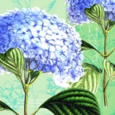 斑馬麥麥 餐巾紙 蝶古巴特 拼貼 德國餐巾紙 DIY 手工藝材料