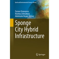 (英文圖書) Sponge City Hybrid Infrastructure 精裝版, Springer, 英文