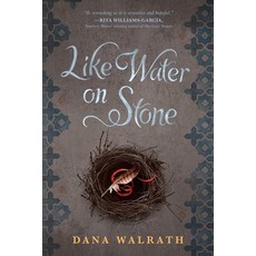 (英文圖書) Like Water on Stone 平裝版, Random House Children's Books, 英文
