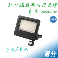 億光 紅外線感應式投光燈 IP65防水防塵, 黑色, 1個