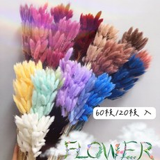 W&T花藝資材 台灣現貨開發票 永生兔尾草乾燥花束 (多色可選) 乾燥花 拍照道具 店內裝飾, 粉奶茶,60枝一束