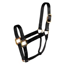 Hamilton Products Halter Hose Quality Livestock Subsidiaries 黑色 2.5cm, 1個