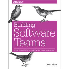 (英文圖書) Building Software Teams: Ten Best Practices for Effective Software Development 平裝版, O'Reilly Media, 英文