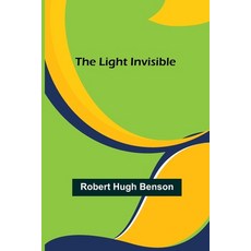 (英文圖書) The Light Invisible 平裝版, Alpha Edition, 英文