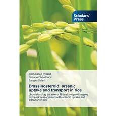 (英文圖書) Brassinosteroid: arsenic uptake and transport in rice 平裝版, Scholars' Press, 英文