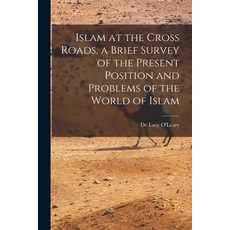 (英文圖書) Islam at the Cross Roads a Brief Survey of the Present Position and Problems of the World of... 平裝版, Legare Street Press, 英文